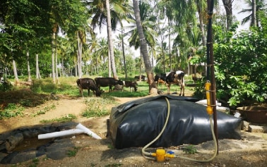 Modular Flexi Biogas Plant For Gowshala