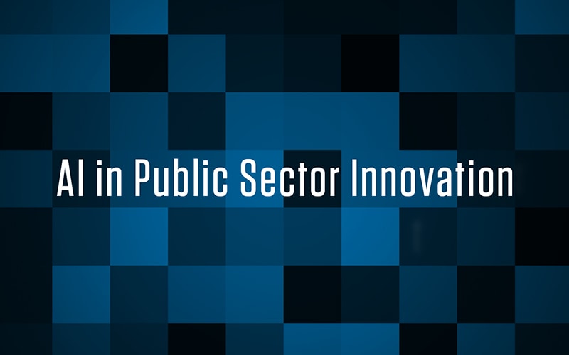 AI in Public Sector Innovation