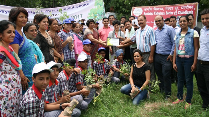 Infosys employees planting saplings along with students