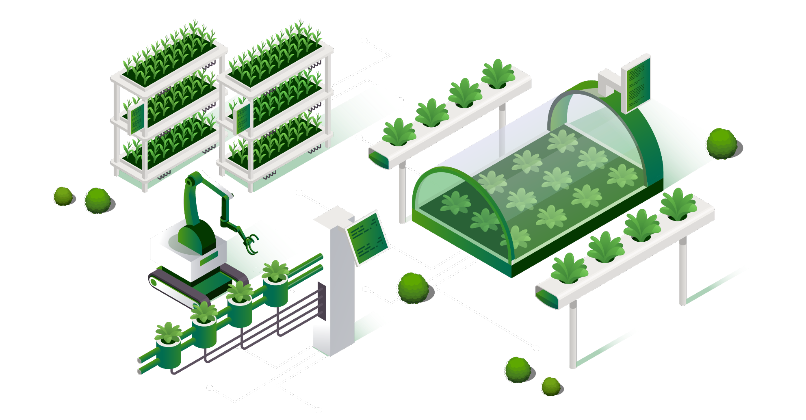 Tracking Carbon and Water Footprint in Banana Supply Chain