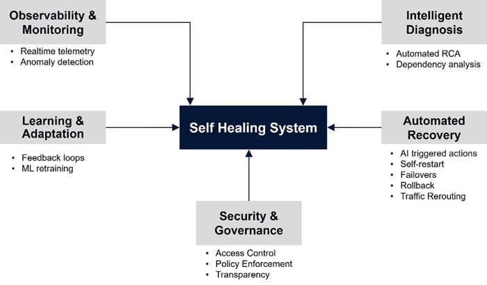 Key Characteristics