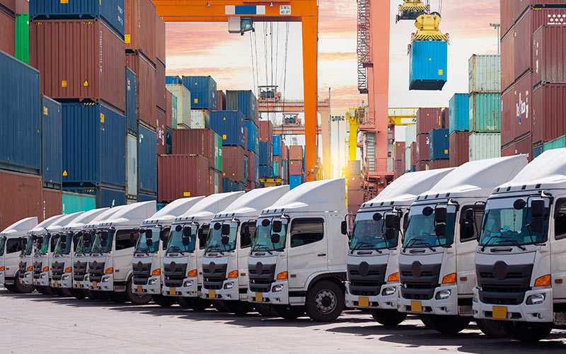 The strategic role of data analytics in global trade and tariff dynamics